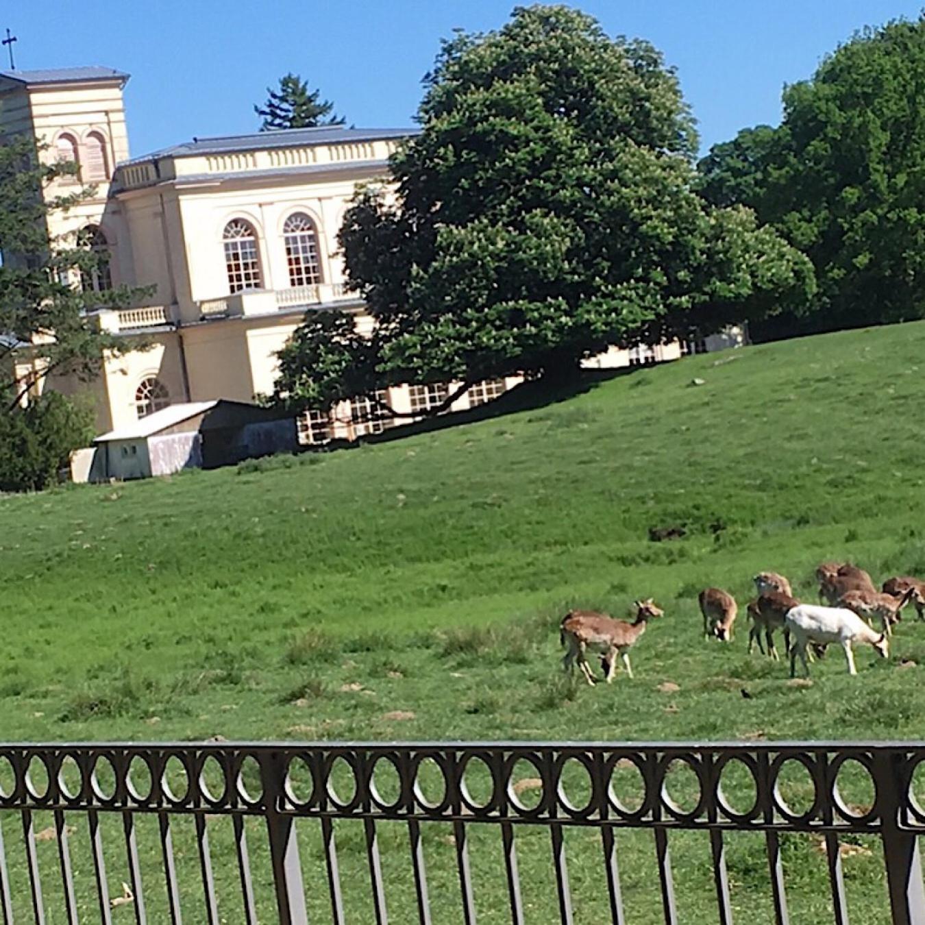 Ferienwohnung "Am Fechtertor- Eingang Zum Schlosspark" Putbus Exterior foto